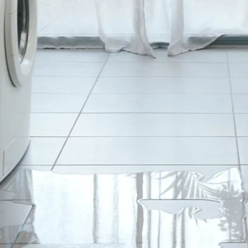 Appliance Leak Cleanup in Apex, NC