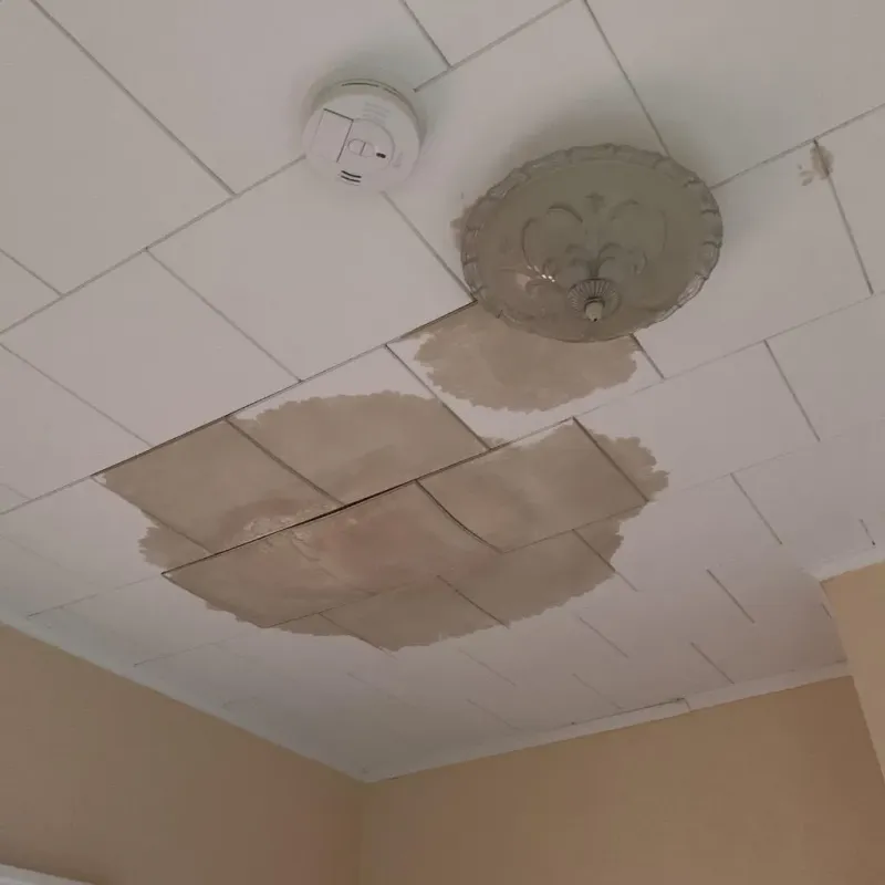 Ceiling Water Damage Repair in Apex, NC