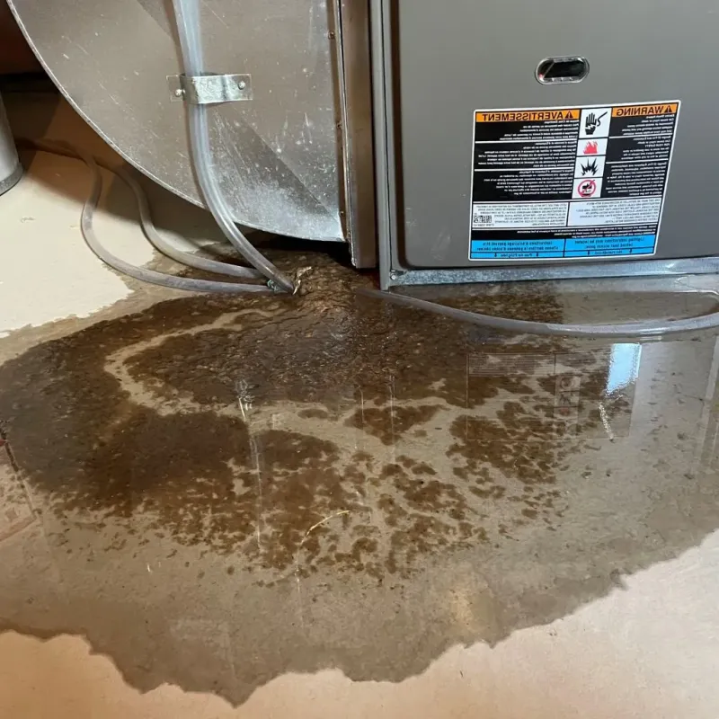 Pipe Burst and Leak Restoration in Apex, NC