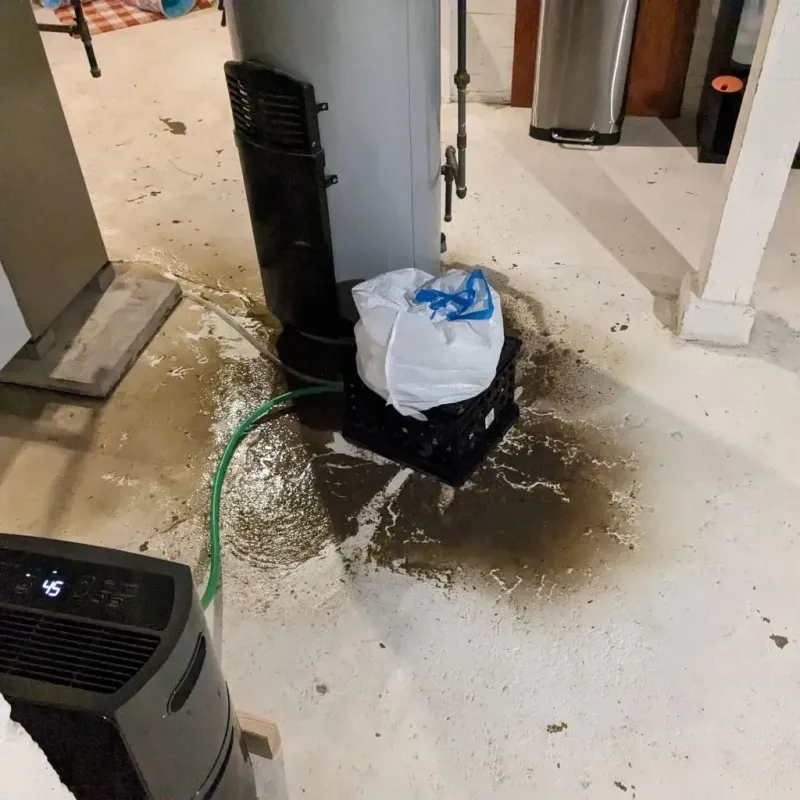 Sewage Backup Cleanup Service in Apex, NC